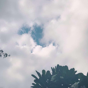 最新Av中文字幕无码专区
