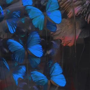 最新Av中文字幕无码专区
