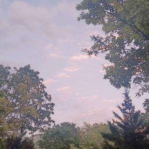 最新Av中文字幕无码专区
