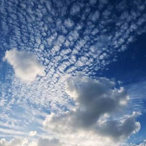 最新Av中文字幕无码专区
